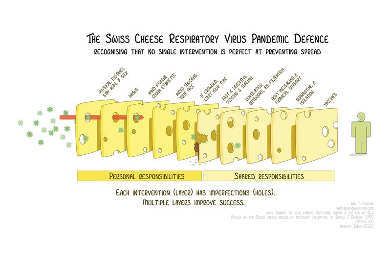 swiss cheese model