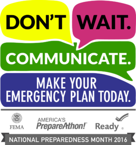 FEMA Logo